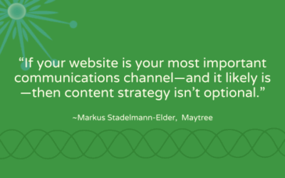 Revisiting your nonprofit’s website content strategy: Q&A with Markus Stadelmann-Elder